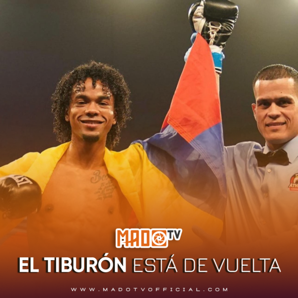 ¡EL TIBURÓN ESTÁ DE VUELTA!