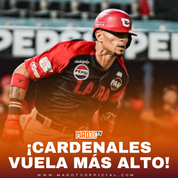 ¡CARDENALES VUELA MÁS ALTO!