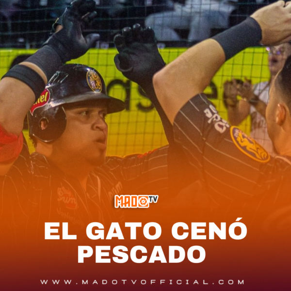 ¡EL GATO CENÓ PESCADO!