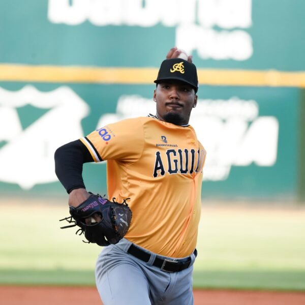 Estadísticas de LIDOM